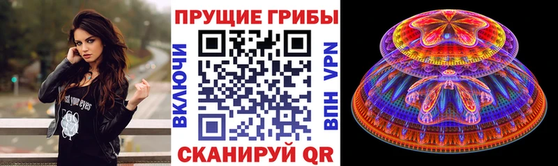 купить   Бабаево  Псилоцибиновые грибы ЛСД 